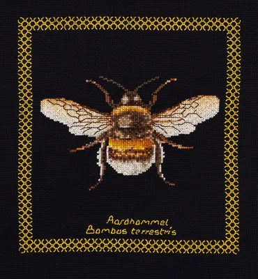 Produktbild von Thea Gouverneur Zählt Kreuzstich Kit "Bumble Bee Aïda Noir", 17x18cm