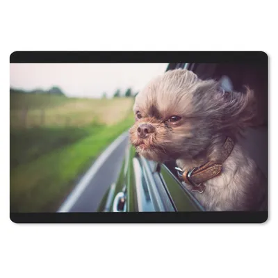 Obrázok produktu pre Podložka pod myš - Pes - auto - zviera - 27x18cm - Rohožka pod myš