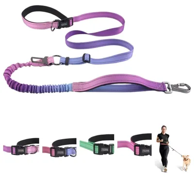 Produktbild von Handsfree Hundeleine mit Anti-Zug Bungee