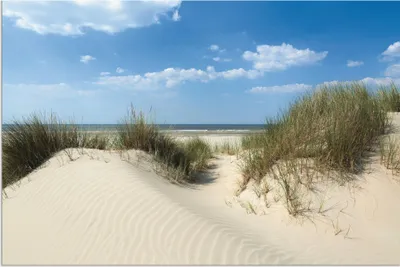 Produktbild von ARTland Wandbild Alu für Innen & Outdoor Düne mit Meeresblick Größe: 60x40 cm