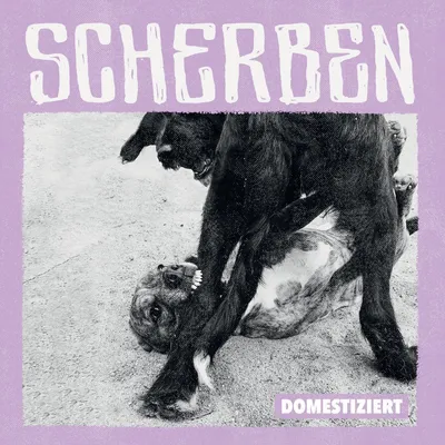 Obrázek produktu pro Scherben - Domestiziert - - (Vinyl / Pop (Vinyl))