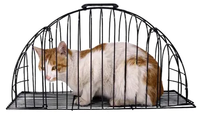 Immagine prodotto di Gabbia per gatti resistente ai graffi, ideale per animali domestici