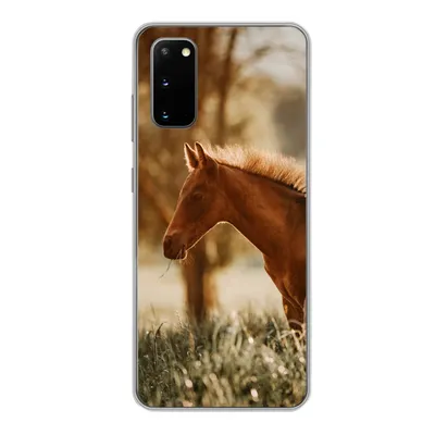 Produktbild von MuchoWow® Handyhülle Schutzhülle Hülle für Samsung Galaxy S20 Pferd - Licht - Wiese Silikon Softcase Handy Hülle - Bild