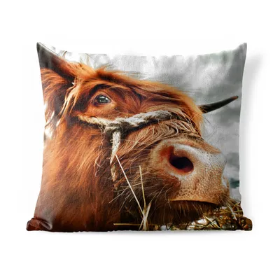 Obrázek produktu pro MuchoWow® Vnější polštář - Skotský horal - Cowhead -50x50 cm- Odolnost proti povětrnostním vlivům - polštář do obývacího pokoje