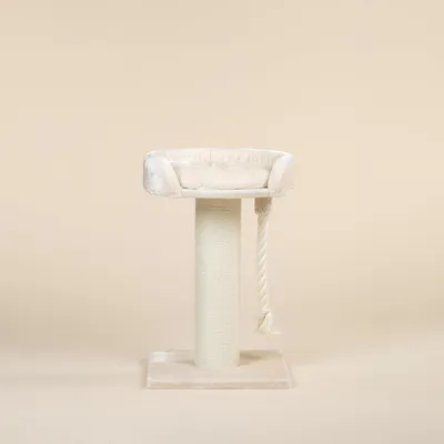 Immagine prodotto di RHRQuality Tiragraffi per gatti di grossa taglia - Chartreux – 80 cm di altezza – Con palo in sisal extra spesso da 20 cm - Lussuosa cuccia di ⌀60 cm – Crema
