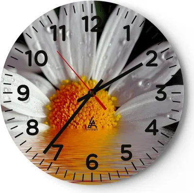 Produktbild von Wanduhr - Rund - Glasuhr - Kraut Kamille Blume Wasser - 40x40cm - Schleichendes Uhrwerk - Lautlos - zum Aufhängen bereit - Dekoration Modern - Wanddekoration aus Glas - C4AR40x40-2282