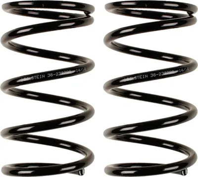 Imagen del producto de 2 amortiguadores traseros BILSTEIN