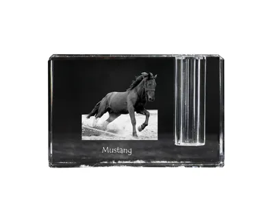 Produktbild von Mustang - Stifthalter, Kristallorganisator mit Bild eines Pferdes, einzigartige Schreibtischdekoration der Marke Art-Dog