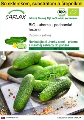 Obrázok produktu pre SAFLAX Kultivačný set - BIO - uhorka - podhorské hrozno - Cucumis sativus - 15 Semená - S mini skleníkom, pestovateľským substrátom a 2 črepníkmi