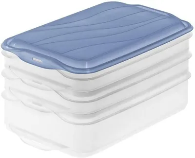 Immagine prodotto di Contenitore per alimenti con 3 scomparti - Scatola di stoccaggio per alimenti freschi - Conservazione degli alimenti - Resistente all'umidità e ermetico - 1,5 litri - Blu