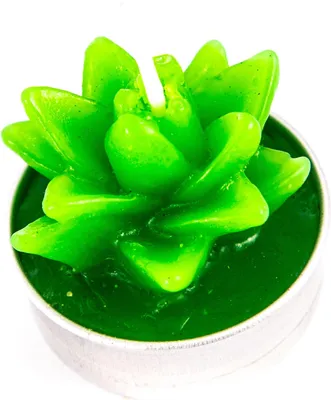 Produktbild von Teelicht Kaktus Kerze Grün Pflanzenform Deko Teelichter Geschenkidee Zufallsdesign