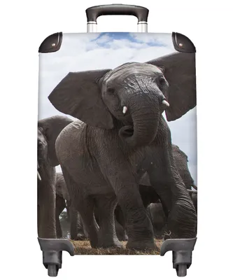 Produktbild von MuchoWow® Koffer Handgepäck Trolley Rollkoffer Kleine Reisekoffer mit 4 Rollen - Elefant - Tiere - Natur - Flachland - Cabin Size < 55x40x23 cm & 55x40x20 cm - Fotokoffer - Kabinenkoffer - Boardgepäck - Reise-Box - Reisekoffer - Reisegepäck - Koffer mit Bild - Trolley für Kinder