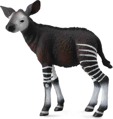 Obrázok produktu pre COLLECTA Mláďa okapi
