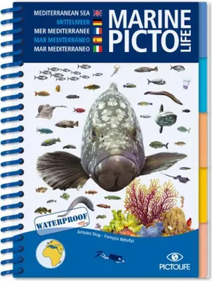 Zdjęcie produktu dla Pictolife Mediterranean Marine Führer Blau Blau One Size