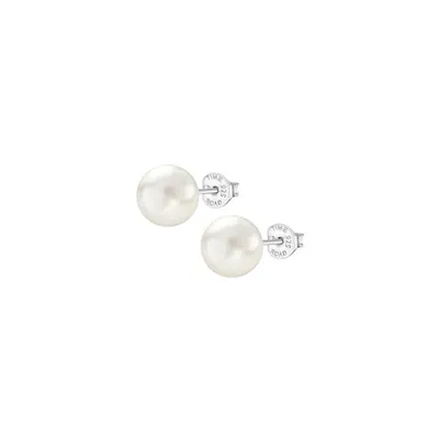 Produktbild von Lotus WS00001/10 Damen-Ohrringe