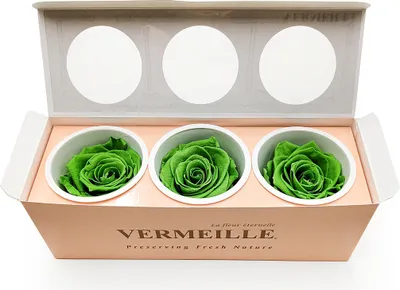 Produktbild von Stabilisierte Rose - Prairie Green - XL - 3 Stk
