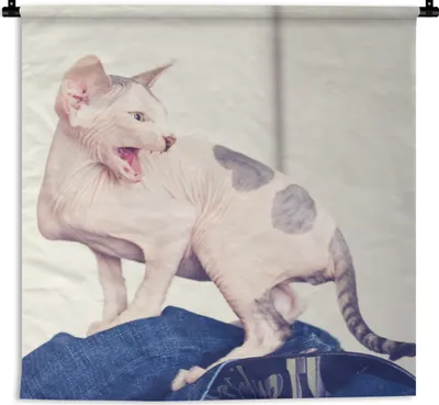 Produktbild von MuchoWow® Wandteppich Wandbehang Gefleckte Sphynx-Katze 120x120 cm Tapisserie Dekoration Wandtuch - Modern - Baumwollgewebe
