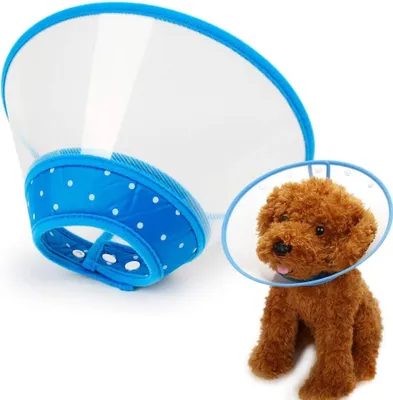 Produktbild von Genesungskragen für Hunde, verstellbarer Halskragen, transparenter, gepolsterter Kragen mit atmungsaktivem, weichem Rand, Kunststoff-Welpenkragen zum Schutz des Halses nach Operationen, geeignet für Katzen und Welpen