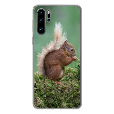 Produktbild von MuchoWow® Handyhülle Schutzhülle Hülle für Huawei P30 Pro Waldtier - Eichhörnchen - Moos Silikon Softcase Handy Hülle - Schutzdeckel