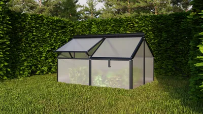 A greenhouse in a garden setting with a hedge in the background.