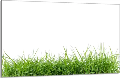 Produktbild von Glasschutzplatte für Herd 80x52 Weiß