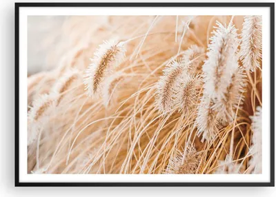 Produktbild von Gerahmtes Poster - Schwarzer Rahmen - Gras Boho Licht - 100x70 cm - Wand Bild - Wanddeko - Wandbilder - Kunstposter - Wandposter - Bilderrahmen - Bilder - Kunstdruck - P2BAA100x70-4903