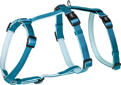 Image de Nobby harnais de sécurité "Turva" bleu clair Cou: 42-60 cm, Poitrine: 50-75 cm, 20 mm