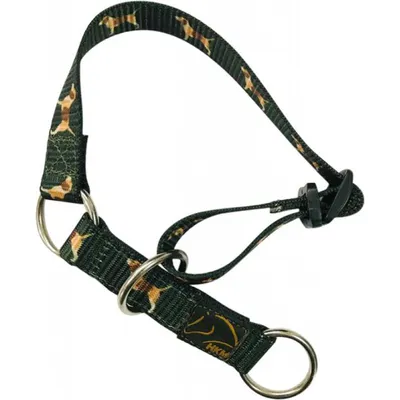 Produktbild von HKM Beagle Hundehalsband