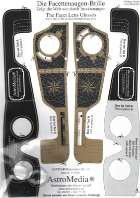 Produktbild von Die Facettenlinsen-Brille