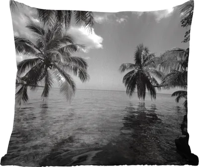 Produktbild von MuchoWow® Zierkissen Sofakissen Wohnzimmer Dekokissen 45x45 cm Reflexion von Palmen im Meer von Mo'orea in schwarz und weiß - Schlafpolster - Polster für das Sofa