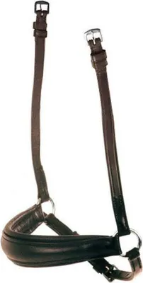 Productafbeelding van Collegiate Lederen Mützenband met enkelvoudige kroon en platte neusriem, model WB1062 (volledig), kleur bruin
