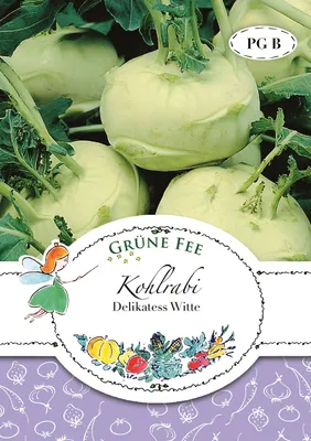 Produktbild von Kohlrabi Delikatess Witte | Kohlsamen von Grüne Fee
