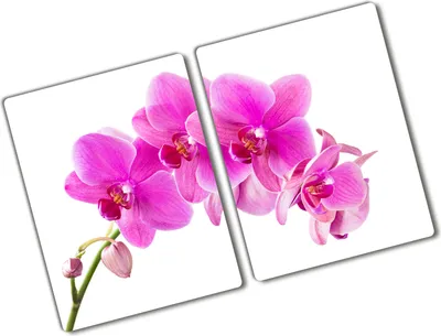 Produktbild von Tulup Glas Herdabdeckplatte - 2x40x52 cm - Glaskeramikkochfeld-Abdeckung Spritzschutz Glasabdeckplatte Kochplattenabdeckung und Schneidebrett - Zweiteilig - Blumen & Pflanzen - Rosa Orchidee - Rosa