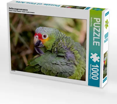 Produktbild von Calvendo Gelbwangenamazone 1000 Teile Puzzle quer 640x480mm, Berg Martina; 7380675