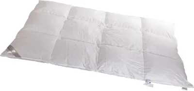 Produktbild von Betten Hofmann Sibiria Winter Daunendecke Bettdecke 3x4 155x220 sibir. Wildgans warm
