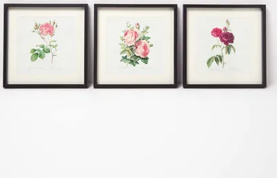 Produktbild von HOMESCAPES 3er-Set gerahmte Bilder – Rosenbilder, je 30 x 30 cm