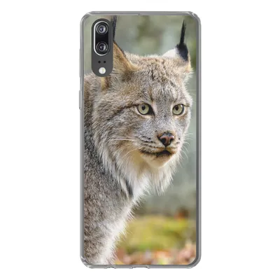 Produktbild von MuchoWow® Handyhülle Schutzhülle Hülle für Huawei P20 Luchs - Wald - Grau Silikon Softcase Handy Hülle - Hardcover
