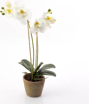Produktbild von artplants.de Künstliche Phalaenopsis Orchidee MINA im Topf, 2 Zweige, weiß, 45cm - Deko Kunstblume