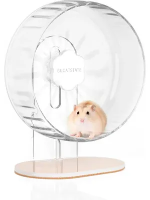 Produktbild von Hamsterrad 21cm Laufrad Leise Transparent Rutschfest für Kleintiere