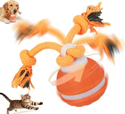 Produktbild von Spielzeug für Haustiere – Interaktives Hundespielzeug – Katzenspielzeug – Hundespielzeug – interaktiver Rollball für Haustiere – Hüpfball – Orange