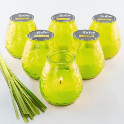 Produktbild von HOFER Bistro-Lichter Citronella - 6 Stück - [GRÜN] - Windlicht für draußen - Hochwertige Outdoor Kerze im Glas mit Citronella Duft - Deko für draußen