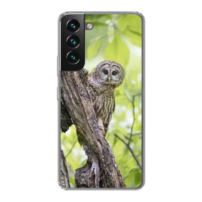 Produktbild von MuchoWow® Handyhülle Schutzhülle Hülle für Samsung Galaxy S22 Plus Eule - Wald - Licht Silikon Softcase Handy Hülle - Schutzabdeckung