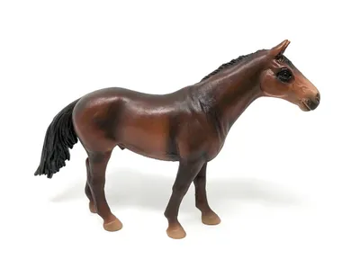 Image de Schleich 13273 Pur-sang anglais