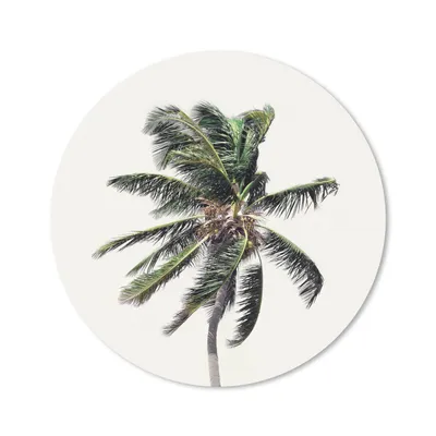 Produktbild von MuchoWow® Mauspad Mousepad Palme - Grün - Natur - Blätter 50x50 cm - Mousepads - Maus Mat - Pad - Mausunterlage - Vinyl