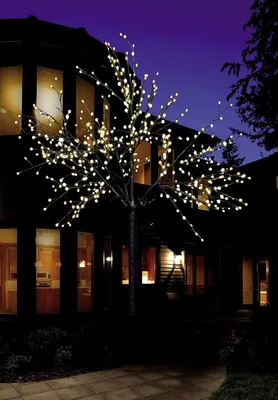 Produktbild von LED Lichterbaum mit 500 warm-weißen Lichtern beleuchtet, 220 cm hoch, die Lichterzweige sind flexibel, Weihnachtsbaum mit Lichterkette