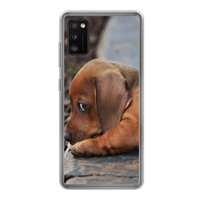 Produktbild von MuchoWow® Handyhülle Schutzhülle Hülle für Samsung Galaxy A41 Dackelwelpe liegt am Rande des Bürgersteigs Silikon Softcase Handy Hülle - Mobiltelefon