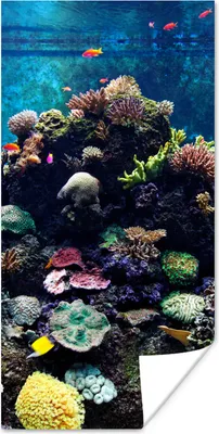 Produktbild von MuchoWow® Poster Aquarium mit tropischen Fischen und Korallen 20x40 cm - Plakat - Foto