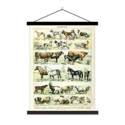 Produktbild von MuchoWow® Textilposter Tiere - Pferde - Illustration - Vintage - Adolphe Millot 90x120 cm mit schwarzem Rahmen - Dekoration
