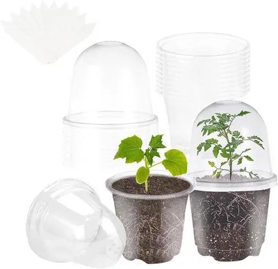 Produktbild von 10 Stück 10 cm Blumenpflanzkästen mit Dampfschutz und 10 Stück Orchideenpflanzstifte für Samen und Sämlinge