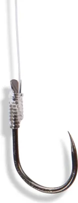 Image de SAENGER Hameçon carpe BN-20 70cm